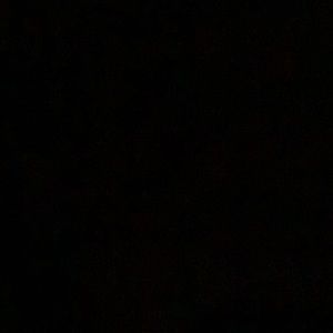 Meet your Posher, Aaliyah